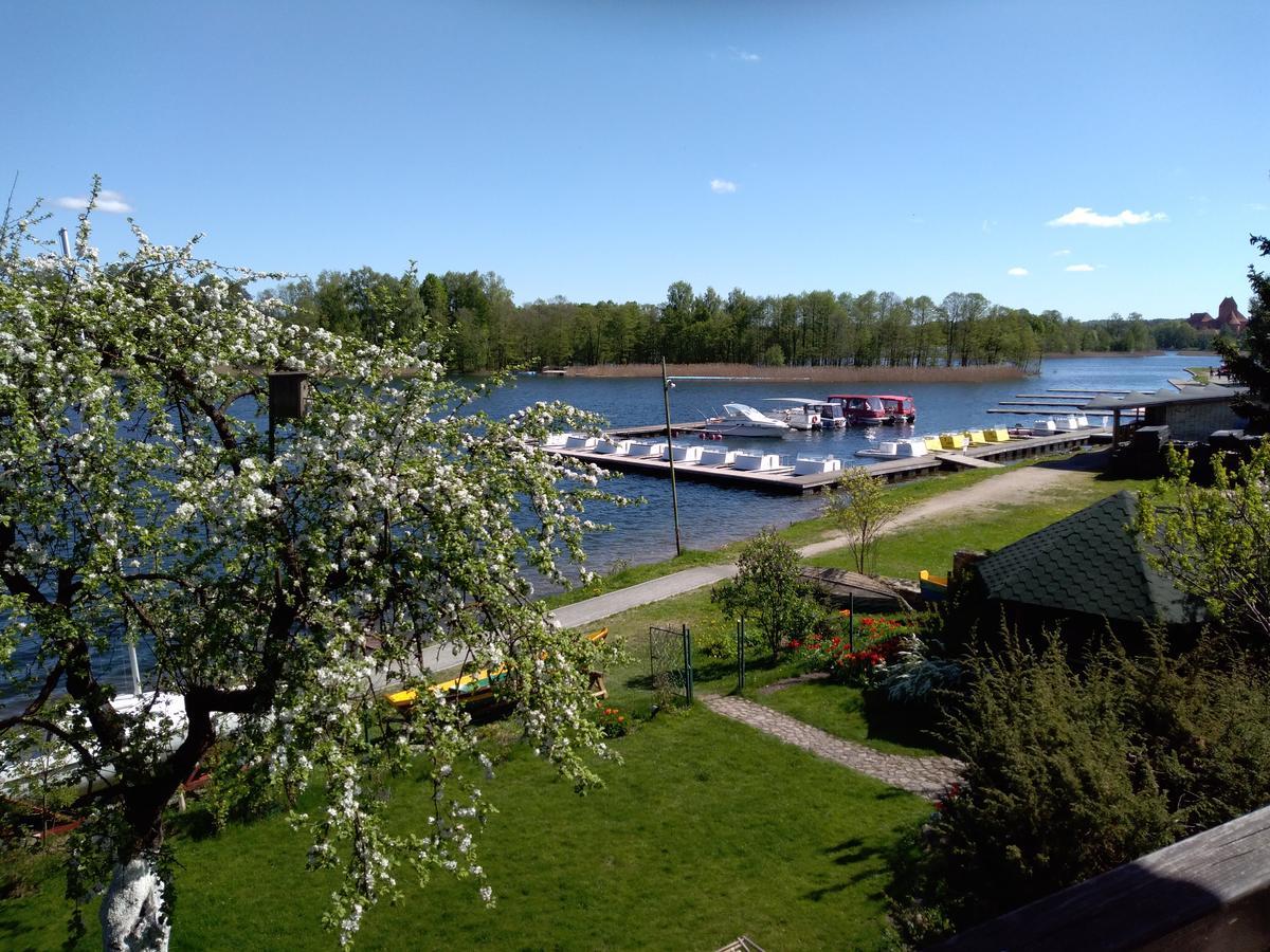 Augutes Zurlienes Apartamentai Trakai Eksteriør billede